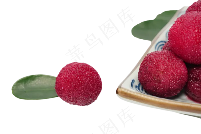 新鲜水果杨梅(3500X3500(DPI:300))