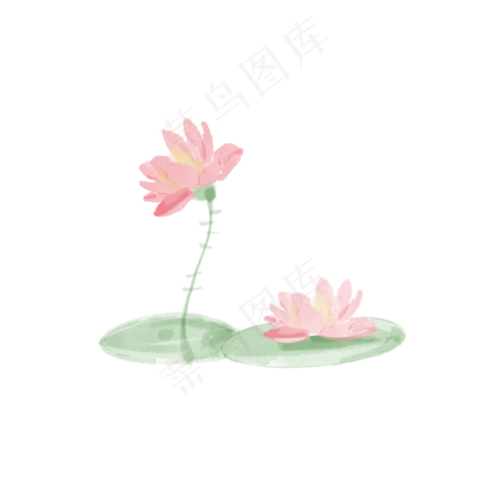 春季池塘荷花植物(2048X2048(DPI:300))psd模版下载