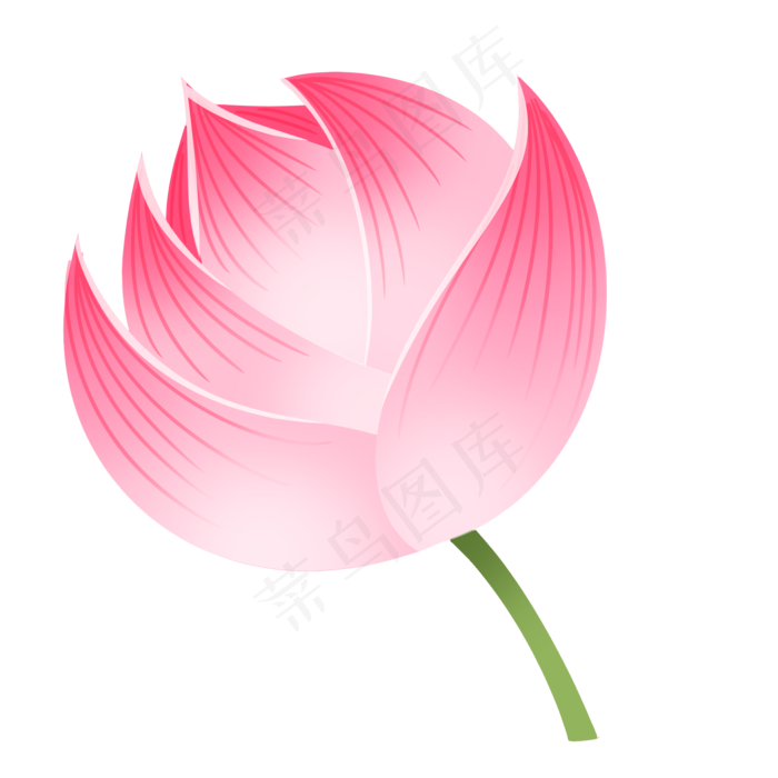 粉色荷花卡通植物