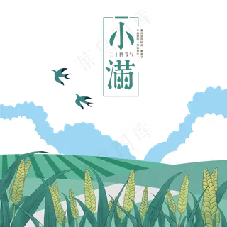 小满节气稻田燕子,免抠元素