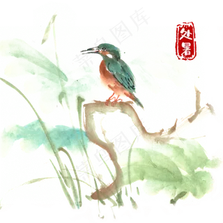 处暑枝头上的翠鸟