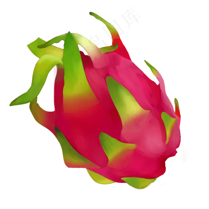 红色的新鲜火龙果(3000X3000(DPI:300))psd模版下载