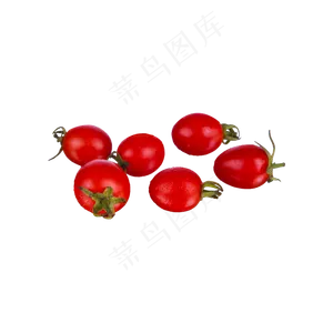 小番茄实物（png免抠）