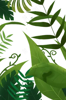 手绘卡通植物边框元素