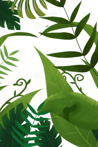 手绘卡通植物边框元素