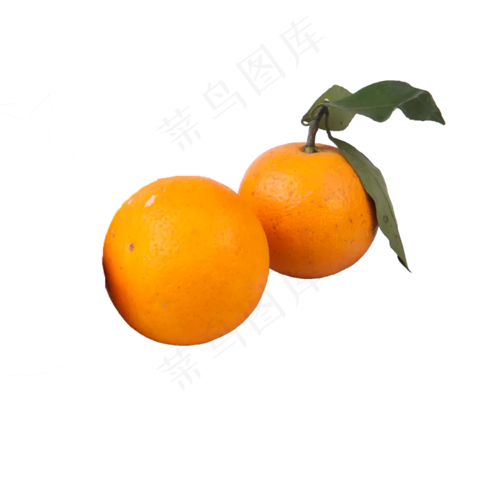 两个橙子（png免抠）(2000X2000(DPI:72))psd模版下载