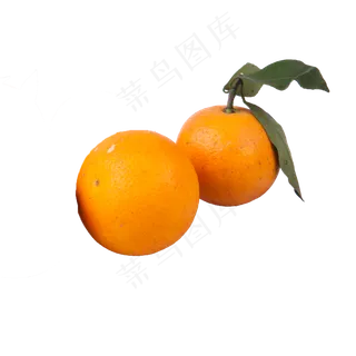 两个橙子(png免抠) 两个橙子(png免抠)
