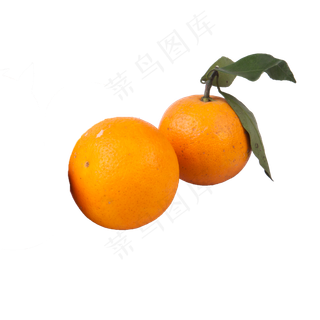 两个橙子（png免抠）