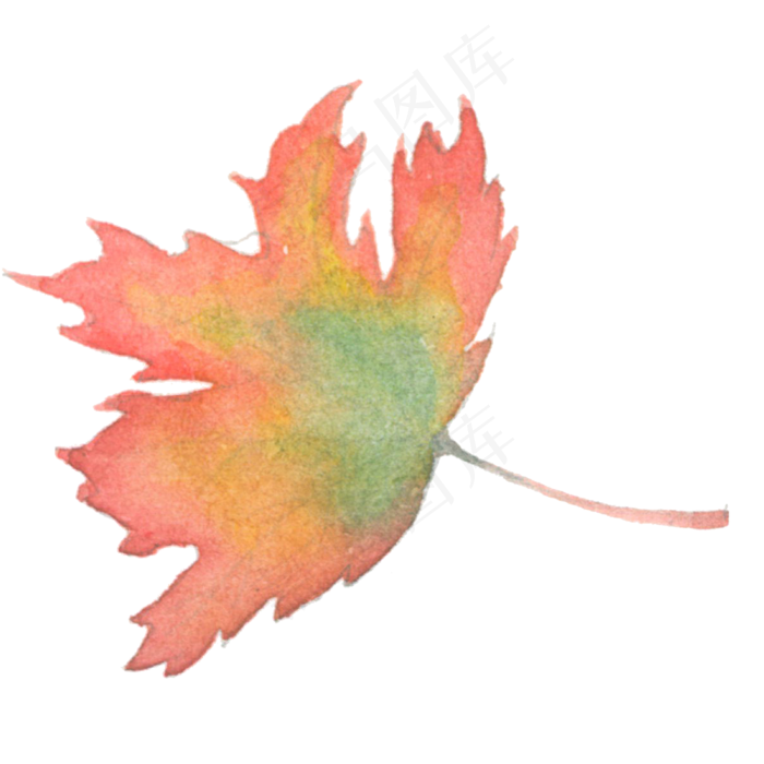 水彩手绘枫叶插画