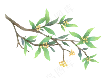 迎接春天的小黄花,免抠元素