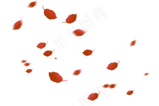 漂浮叶子红叶树叶