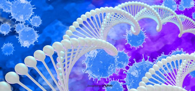 3d冠状病毒病covid-19感染医学图解 3d冠状病毒病covid-19感染医学图解