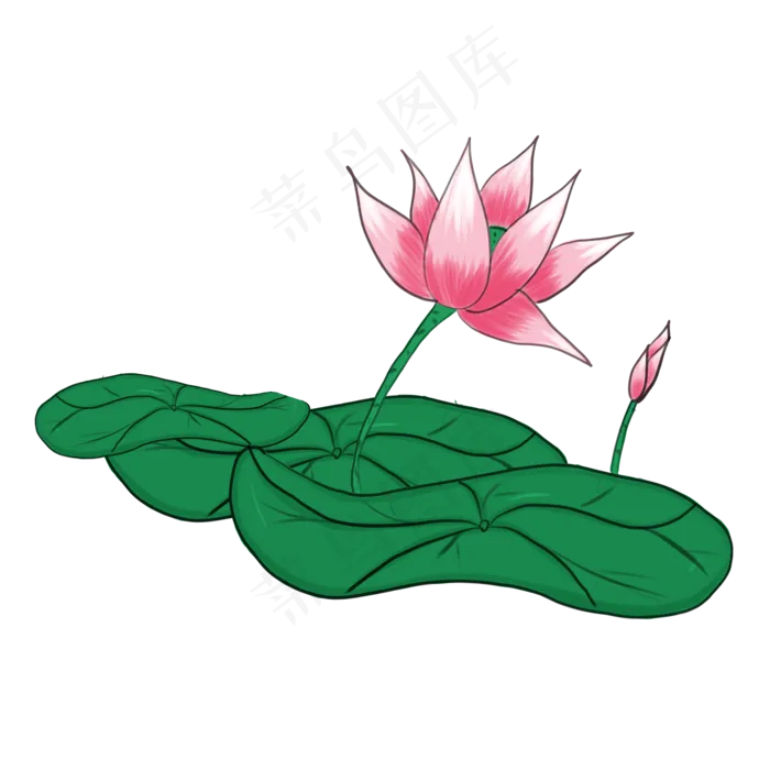 中国风卡通手绘荷花PNG素材(2000X2000(DPI:300))psd模版下载