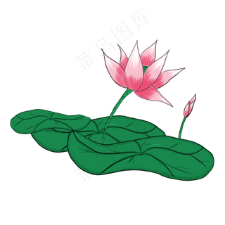 中国风卡通手绘荷花PNG素材