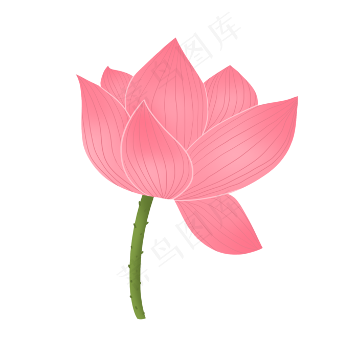 粉红色优雅精致荷花(2000X2000(DPI:300))psd模版下载