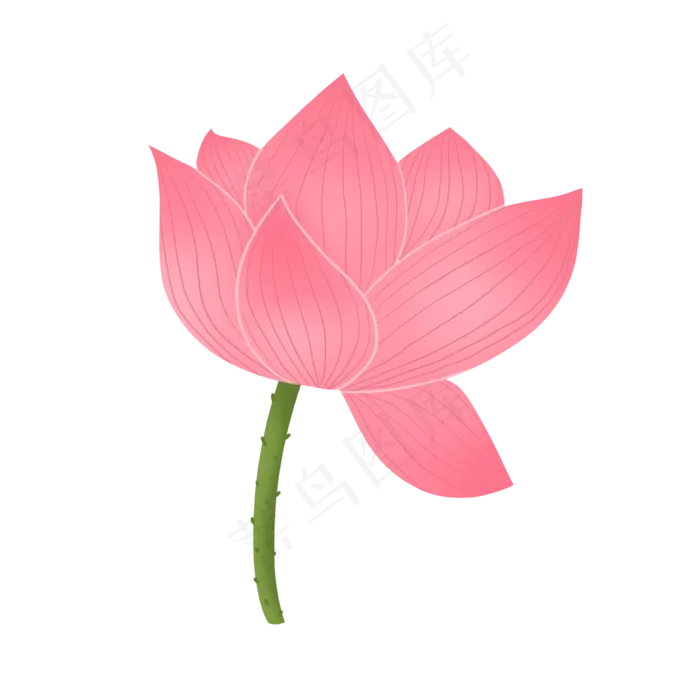 粉红色优雅精致荷花(2000X2000(DPI:300))psd模版下载
