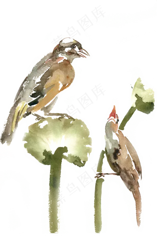 顾盼的小鸟水彩画PNG免抠素材
