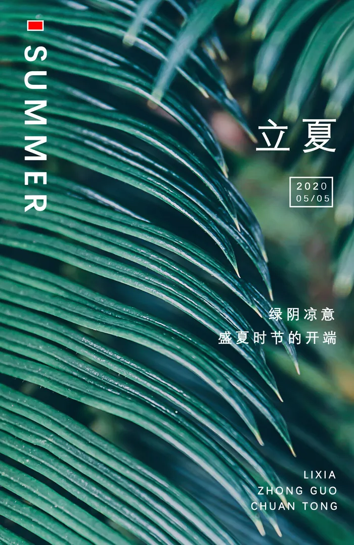 绿色植物立夏清新图(3450*5315px 	      )psd模版下载