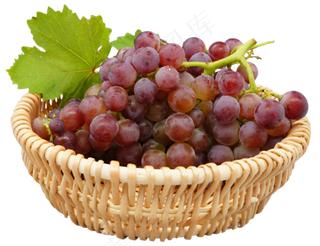 水果葡萄筐