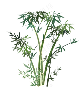中国风古风竹子