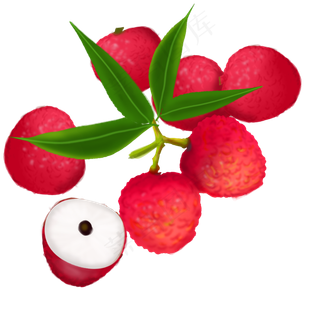 果水果果子荔枝分散