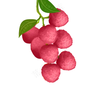 果水果果子荔枝一大串