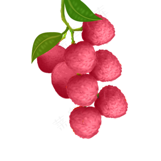 果水果果子荔枝一大串