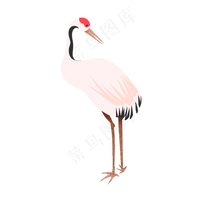 中国风回头看仙鹤