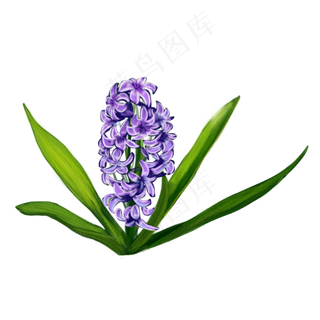 卡通紫色小花朵免抠图