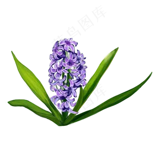 卡通紫色小花朵免抠图