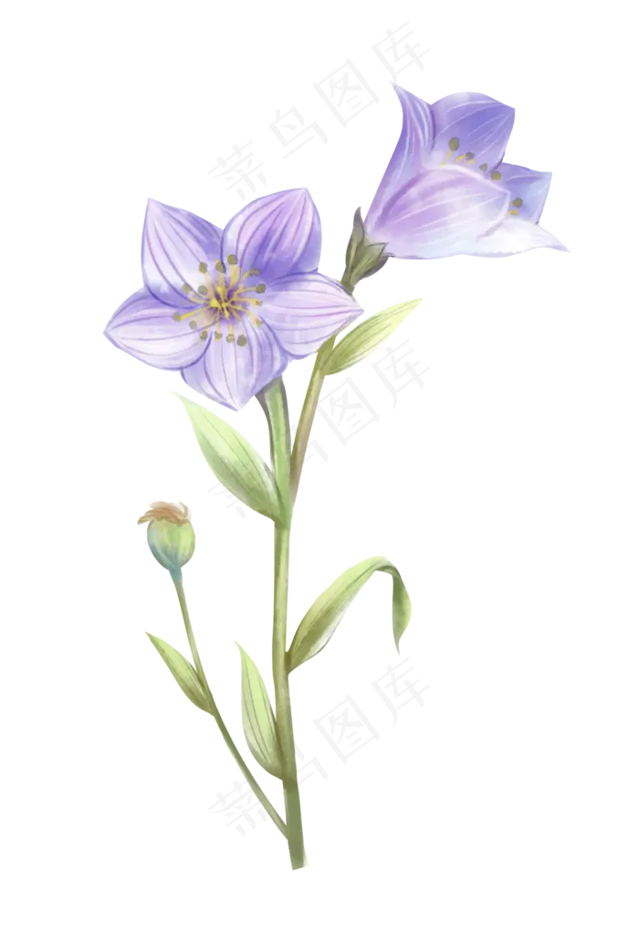 水彩风淡紫色花朵(2000X2924(DPI:300))psd模版下载