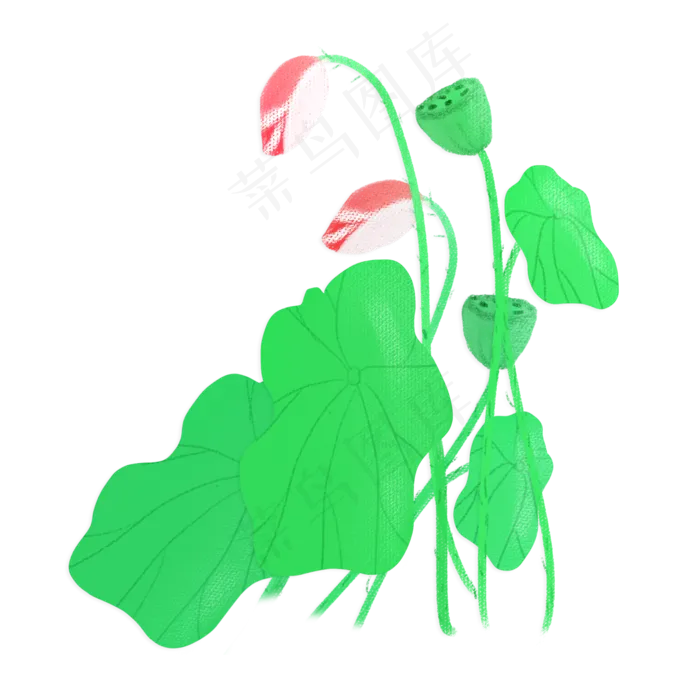 春夏荷花png素材(2000X2000(DPI:300))psd模版下载