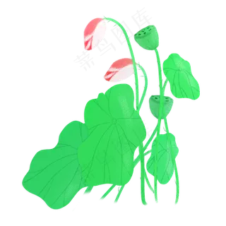 春夏荷花png素材