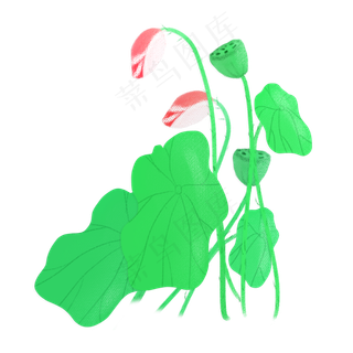 春夏荷花png素材