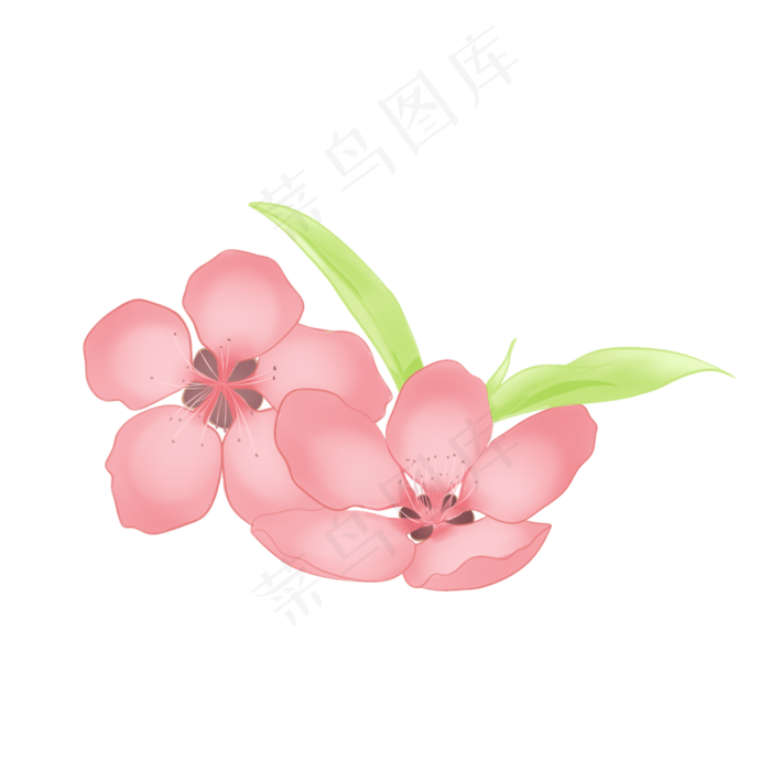 节日粉色手绘桃花装饰,免抠元素(2050X2050(DPI:299))psd模版下载