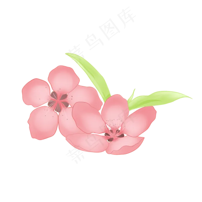 节日粉色手绘桃花装饰,免抠元素