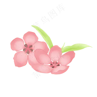 节日粉色手绘桃花装饰,免抠元素