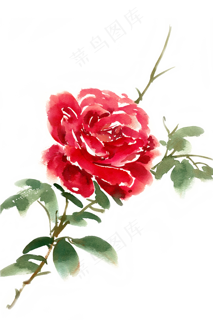 水彩花卉红色玫瑰花(4724X7087(DPI:300))psd模版下载