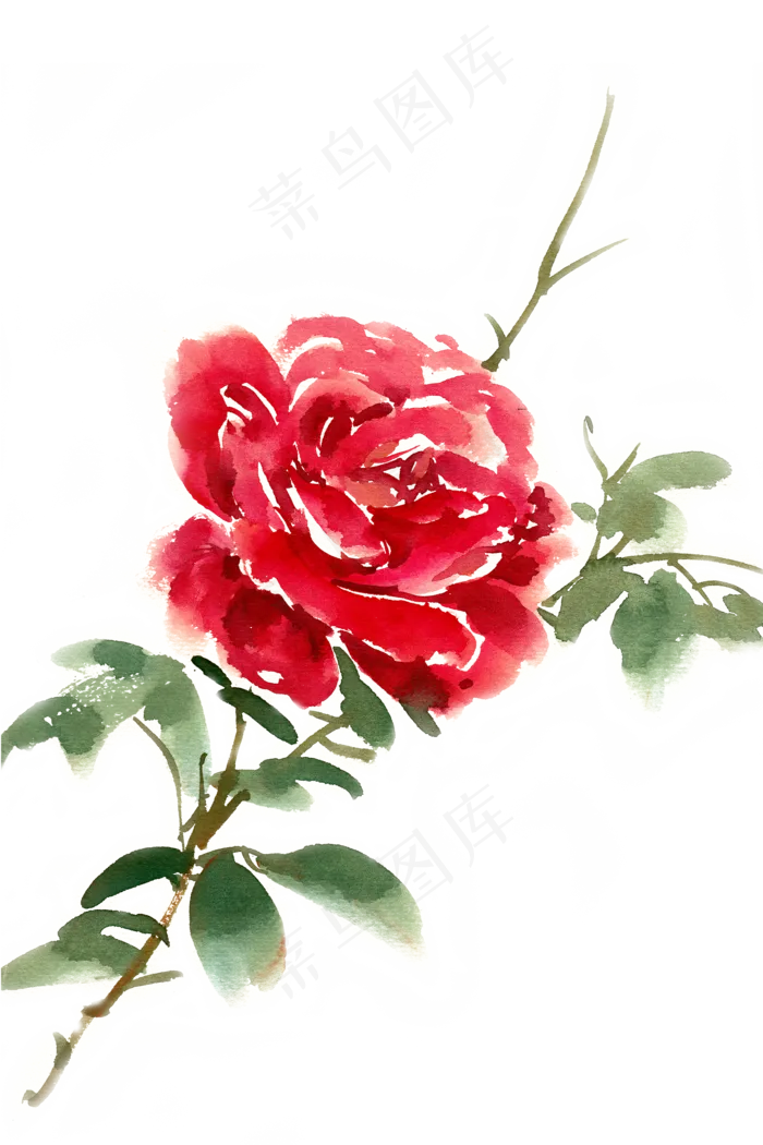 水彩花卉红色玫瑰花(4724X7087(DPI:300))psd模版下载