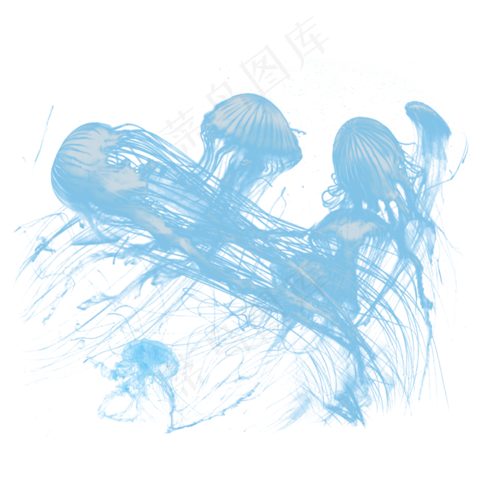 海洋水母彩色乌贼水母元素,免抠元素(2000*2000px 300 dpi )psd模版下载