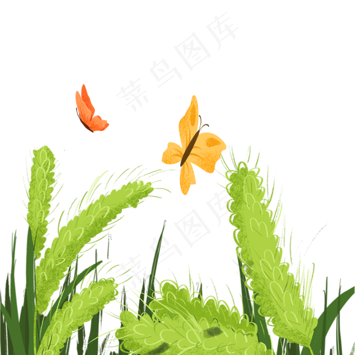 青草春季自然植物