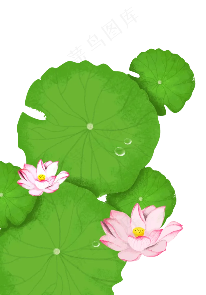 夏季荷叶荷花png素材(2000X2500(DPI:72))psd模版下载