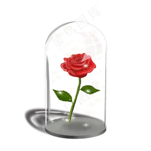 情人节浪漫玫瑰礼物