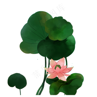 清凉中国风水彩荷叶荷花ppt可