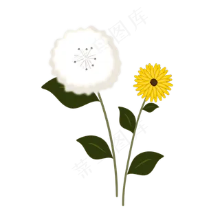 春天植物白色蒲公英花朵,免抠元素