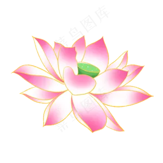 新中式国潮风荷花