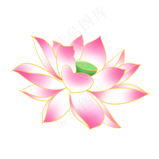 新中式国潮风荷花