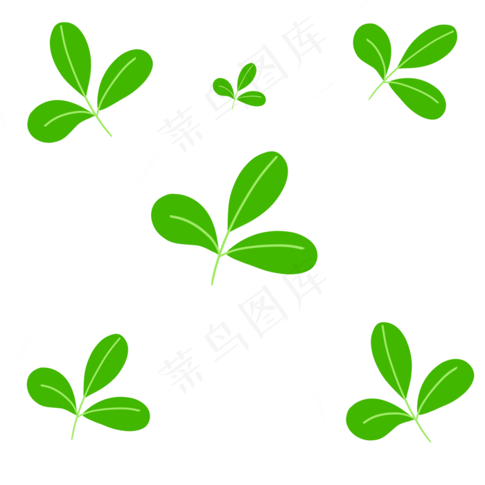 三叶草绿色植物叶子