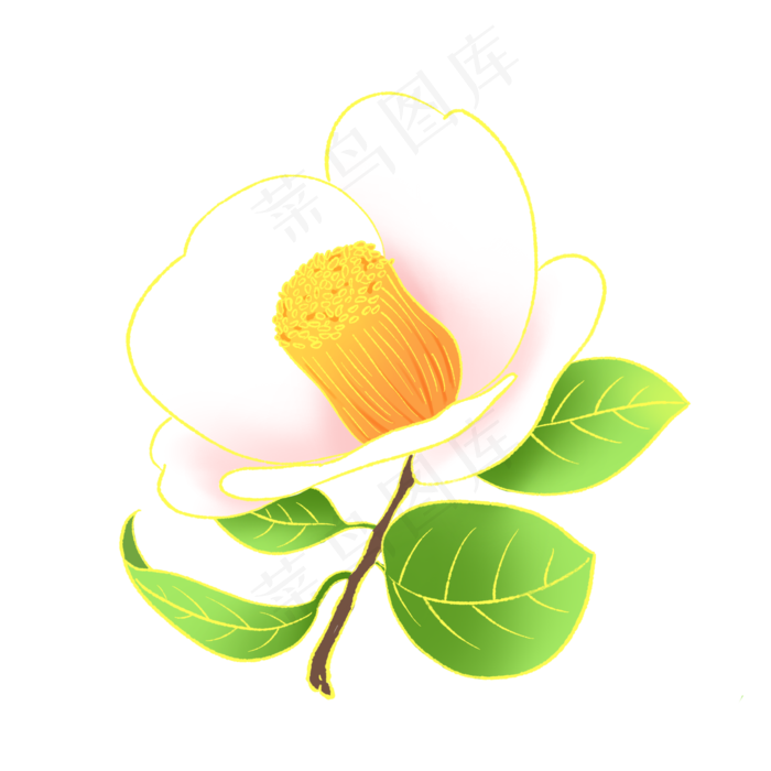 新中式国潮风植物山茶花(2000X2000(DPI:300))psd模版下载