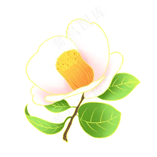 新中式国潮风植物山茶花